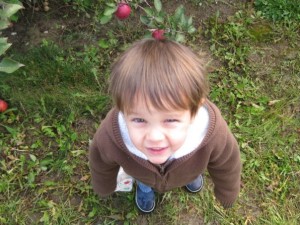 Apple1